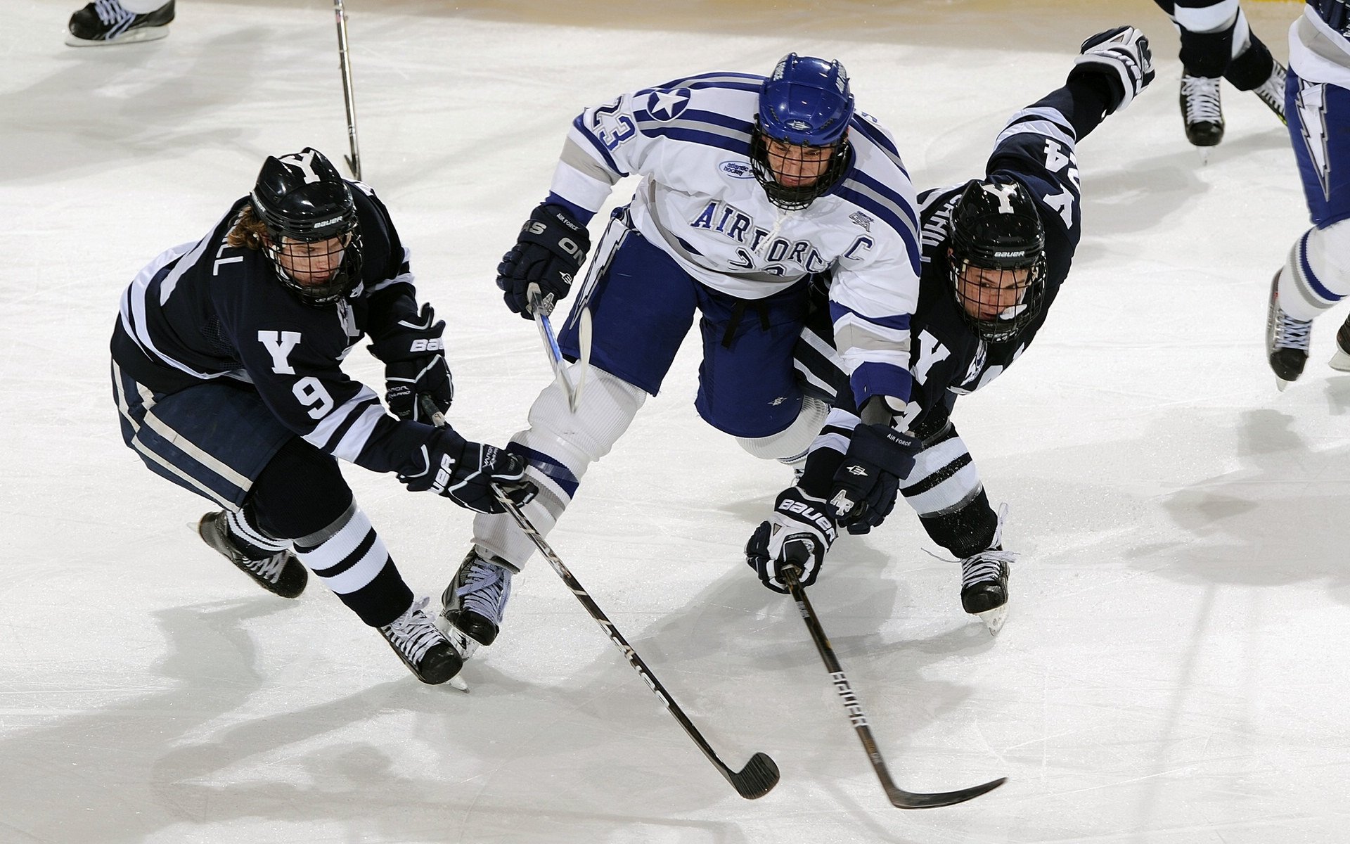 云南男篮在场上大放异彩，击败对手，云南篮球现状